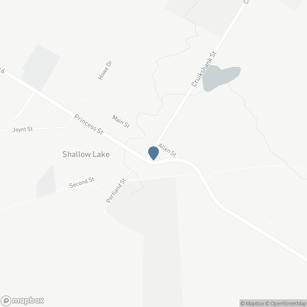 22 CRUICKSHANK STREET, Shallow Lake, Ontario N0H 2K0